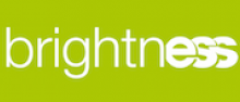 BightnESS logo