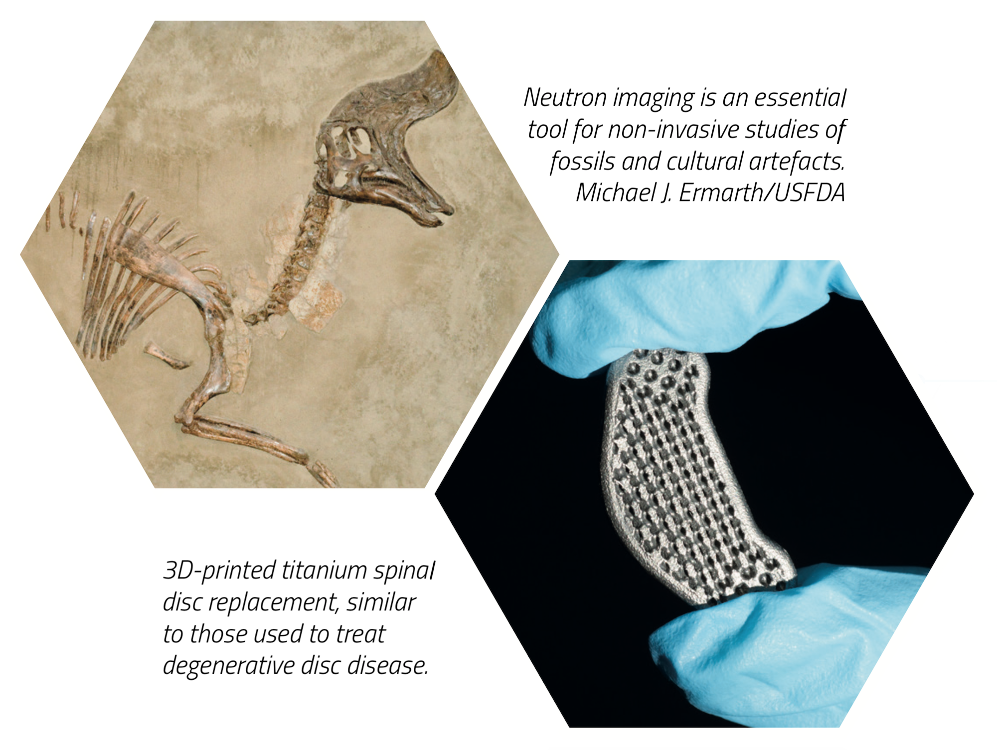 ODIN neutron imaging fossils and 3D-printed titanium spinal disc